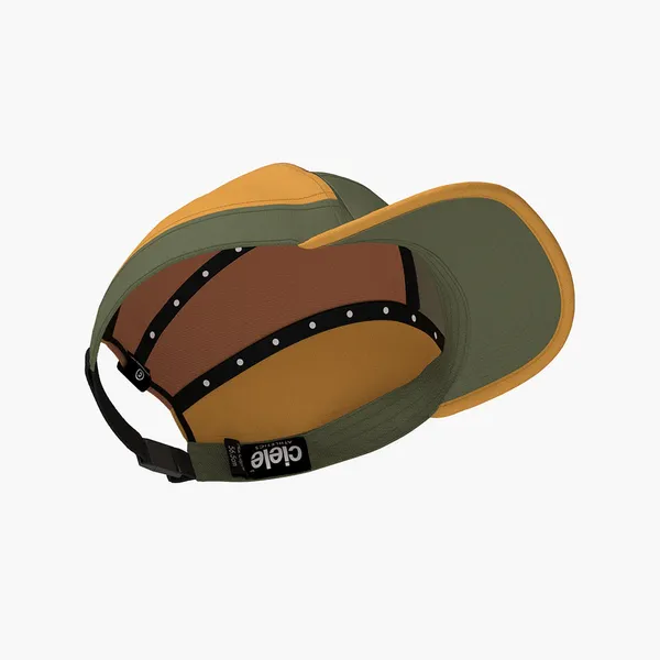 ALZCAP SC C PLUS