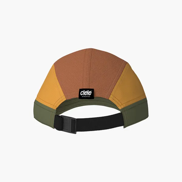 ALZCAP SC C PLUS